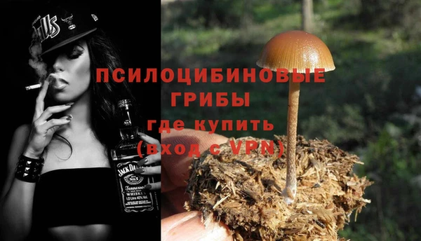 PSILOCYBIN Богородицк